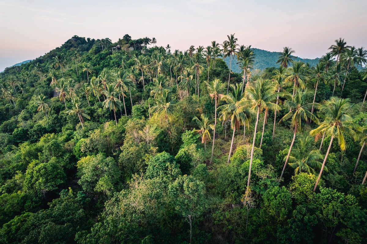 Climate Action Through Regenerative Travel - Plant for planet