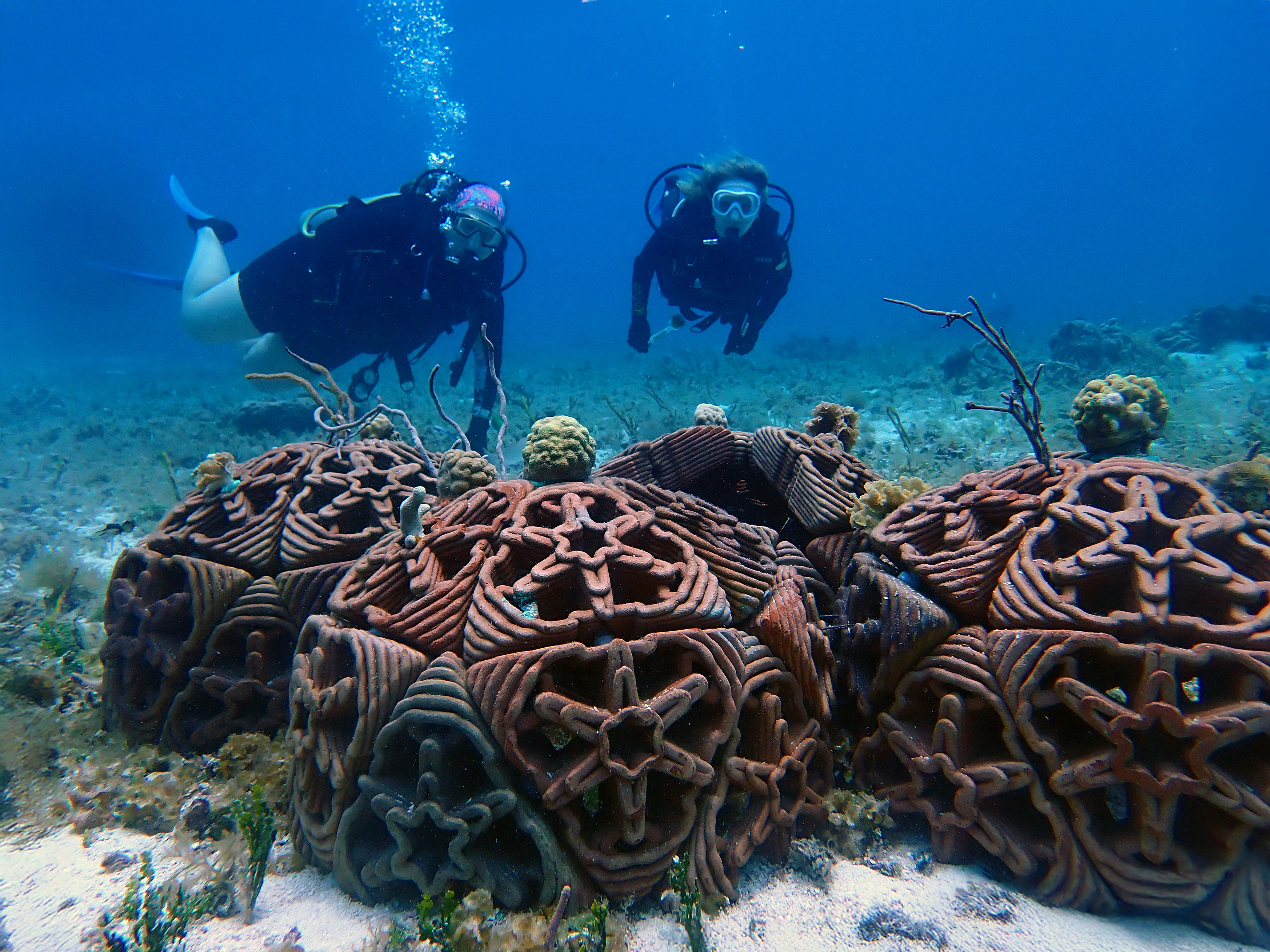 Using 3D printing to restore reefs