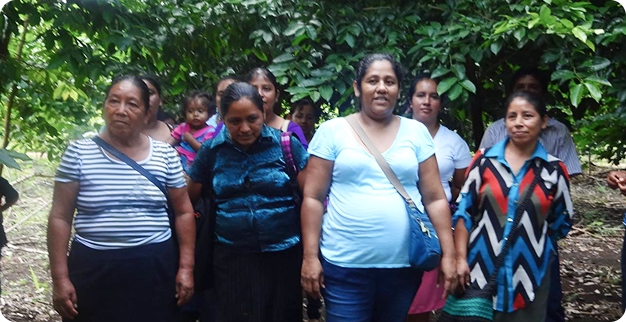 Maya Nut Institute team