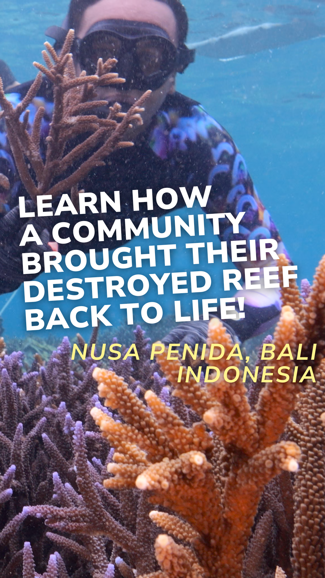 Nusa Penida Coral Restoration Snorkel Tour